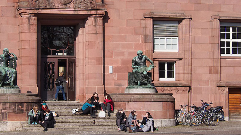 Research Experience Survey